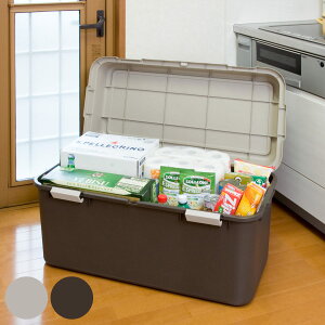 ガーデン収納 収納ボックス 大容量 コンテナボックス ホームボックス 880 ( ストッカー コンテナ ボックス 収納ケース フタ付き プラスチック 屋外 持ち運び ポリタンク 園芸用品 101L )【39