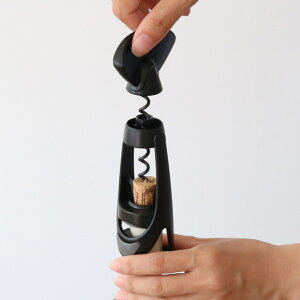 CI[vi[ vacuvin oLo RNXN[cCX^[ i RN𔲂 {gI[vi[ RN 𔲂 CObY Cpi Cc[ CG o[pi ֗O