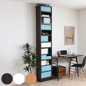 {I uIZbg 41.5cm 238.5`253.5cm SI i ubNVFt 1cmsb` I bN e [ Ƌ ǖʎ[ I[vbN VFt [^ ut X _[NuE