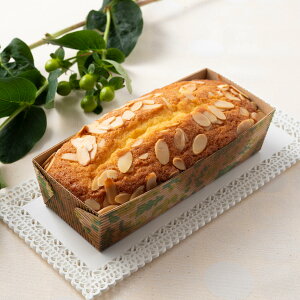 pEhP[L^ 20cm k  5 i I[uΉ P[L^ Č^ Ă^ pEh^ pEhP[L ĝ َq ^ k jy39Vbvz