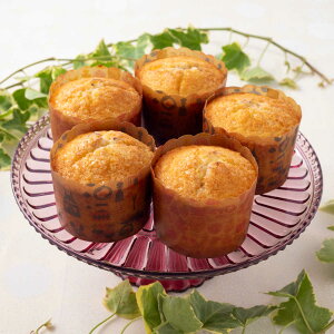 JbvP[L^ 7cm k  5 i I[uΉ JbvP[L P[L ^ ٓ v`t[^ }h[k  َq ĝ Ăَq كObY k jy39Vbvz