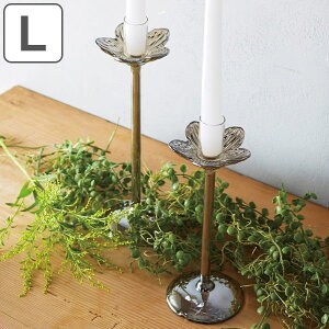 LhX^h M xt[ Lhz_[ 낤  i LhXeBbN C KX Lh X^h z_[ Vo[   EFfBO Cx