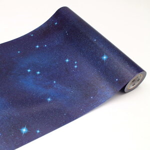 CNV[g Ǘp  mt CASA FLEECE 23cm×5m i ǎV[ ̂t ǎ \Ĕ DIY y }XLOe[v  {   V[ǎ Еt ͂ NX ȒP Jbg