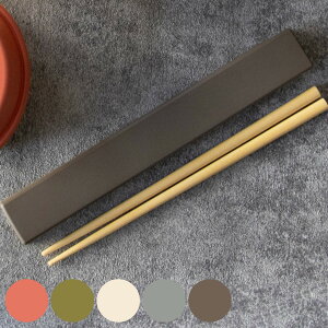 Zbg earth color R۔ i  H@Ή  Zbg R 18cm l VR XCh { H@OK Jg[ ٓp H gїp ͂ ؐ VRؐ RۉH jy39