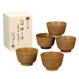 汁椀 漆の器摺り漆 歌舞伎ライン 5個入 ( 漆 電子レンジ対応 食洗機対応 BPAフリー お椀 椀 おしゃれ シンプル プラスチック 味噌汁碗 味噌汁 スープ 軽い 割れにくい )【39ショップ】