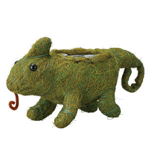 v^[ Ђ܂Aj}|bg JI i Aؔ vg|bg Ap|bg |bg |bg  ঒ Jo[ v^[Jo[ A  ϗtA A T{e | 