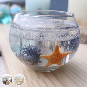 Lhz_[ WF ANAE KX i eB[Cg eB[Cgz_[ LhOX KX LEDeB[Cgt ϔM Lh  yX^h yz