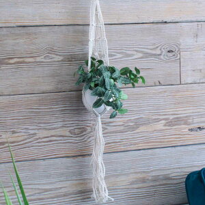 v^[ }NvgnK[Rbg S B i v^[nK[ vgnK[  ݂邷 nK[ z_[ vgz_[ oXPbg ݂艺 |bg }ND Rb