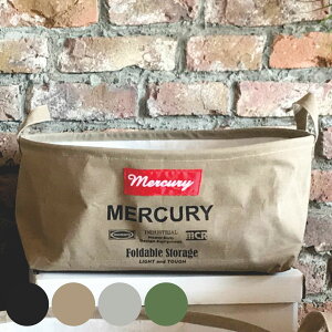 [P[X 40×s31×20cm S I[o }[L[ Xg[W{bNX z i [{bNX [ ȉ~` {bNX P[X t  ~ [ [pi  jy39V