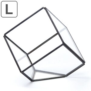 eE XNGA L KX fBXvCP[X i KXe ͔| | fBXvC u^ UCNKX ϗtA  GA[vc A  P[W ꕨ LTCY j y39V