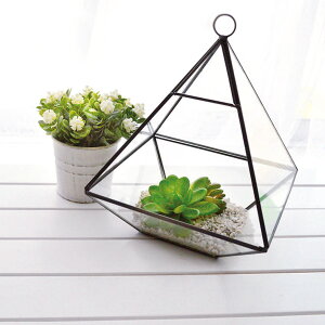 eE gCAO W KX fBXvCP[X i KXe ͔| | fBXvC ݂艺 u^ UCNKX ϗtA  GA[vc A  P[W ꕨ 