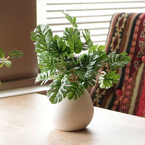 lHϗtA Xe 19cm tFCNO[  G} i ~j  lHA tFCN A[gO[ G}H R L  O[  bNX A  lH ͂Ȃ 