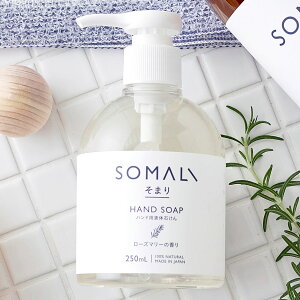 ܂ SOMALI nh\[v t̐΂ 250ml i nhpt̐΂   ΂ Ό Y { nhEHbV [Y}[̍ u₩  q h VR