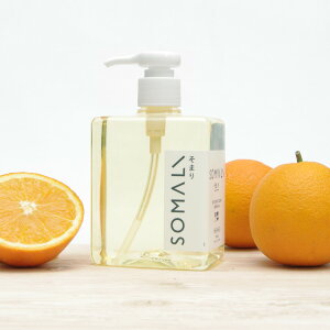 SOMALI 䏊p΂ 300mli|vj i  H Ό t̐Ό ܂ Hp H  AR VRf VR IWIC { q A ؑΌ j