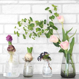 KINTO キントー 花瓶 AQUA CULTURE VASE ガラス S L （ アクアカルチャーベース フラワーベース 一輪挿し 花 グリーン 栽培 ハーブ Sサイズ Lサイズ インテリア オブジェ ガラス製 飾る フラワーグラス 水栽培 水耕栽培 ）【39ショップ】