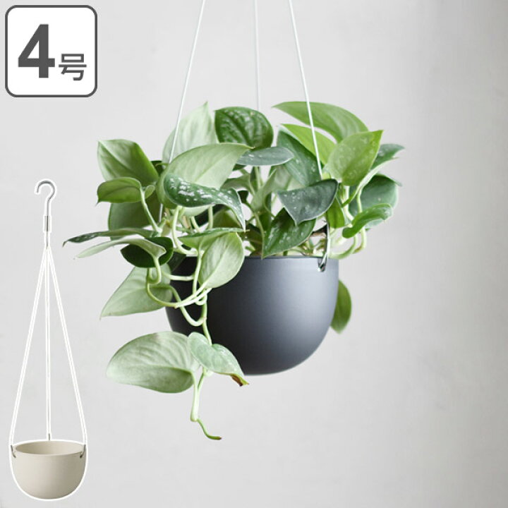 楽天市場 プランター プラントポット キントー Kinto 14cm ベージュ 送料無料 ハンギングプランター 吊り鉢 プラントハンガー 植木鉢 壁掛け 吊るす 吊り下げ おしゃれ 観葉植物 屋内 室内 店舗 ディスプレイ お店 多肉植物 底穴 鉢カバー 39ショップ