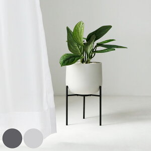 KINTO Lg[ vg|bg 211_ 160mm i v^[ a16cm Aؔ vg|bg Ap|bg X^h Ԋ Jo[ |bg r   AؔJo[ A  ϗtA | A X