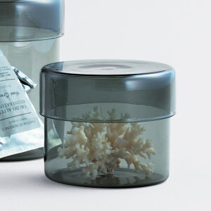 KINTO Lg[ SCHALE KXP[X 100x85mm X[N i ۑe 500ml ϔMKX KX H@Ή dqWΉ LjX^[  ϔM ۑ e KX KXe KXۑe