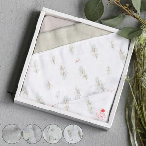 K[[ Lien de famille 3 Zbg { i K[[nJ` K[[^I 24cm xr[ Ԃ Mtg v[g ̎q j̎q  nJ` xr[nJ` _uK[[  蕨 