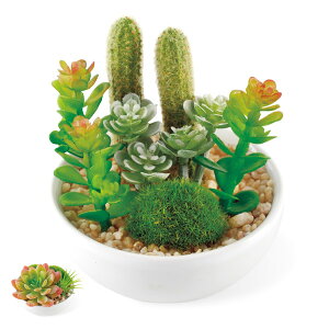 lHϗtA LA[eBtBVO[ TLgtE M ی^ i  tFCNO[ CeAt[ A[gt[ lH tFCN A A T{e CTG