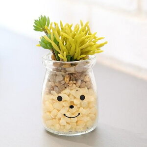 フェイクグリーン 人工観葉植物 ファミーユ 消臭アーティフィシャルグリーン トニー ( 造花 人工植物 観葉植物 人工 植物 多肉植物 リアル ct触媒 消臭 防汚 抗菌 風水 玄関 キッチン インテ