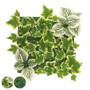 lHϗtA ǖ GNA L A[eBtBVO[ tFCNO[ i ϗtA  CTG} G}  A y t ȒP Ǌ| A ANZg fR[V 