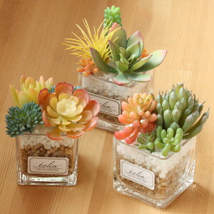 tFCNO[ GNA LA[eBtBVO[ STCY i ϗtA tFCN lHϗtA A CTG} L h R   sv lHA O[  