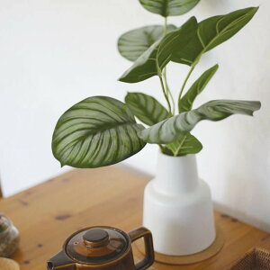 tFCNO[ JeA L lHϗtA GNA i  ϗtA  CTG} G} L h R ȒP  S CeA  fXN gC ʏ jy39Vbvz