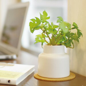 tFCNO[ Xe S lHϗtA GNA i ~j ϗtA  CTG} G} L h R ȒP  S CeA  fXN gC ʏ jy39Vbvz