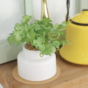 tFCNO[ Xe M lHϗtA GNA i  ϗtA  CTG} G} L h R ȒP  S CeA  fXN gC ʏ jy39Vbvz