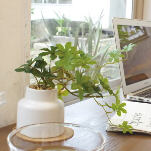 tFCNO[ VK[oC M lHϗtA GNA i  ϗtA  CTG} G} L h R ȒP  S CeA  fXN gC ʏ jy39Vbvz