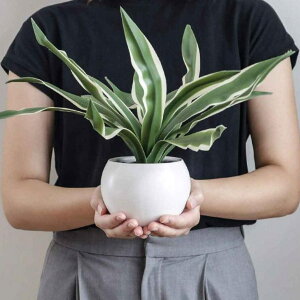 tFCNO[ hZi GNA nMO i lHϗtA CeAO[ ϗtA   A CTG}  L R h ݂艺 CeA O[ lH A 