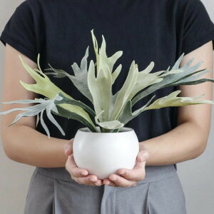 tFCNO[ rJNV_ GNA nMO i lHϗtA CeAO[ ϗtA   A  L R h ݂艺 CeA O[ CTG} lH A