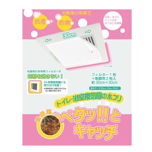 tB^[ gC CtB^[ y^bƃLb` 30cmp 3 i C R hL CtB^[  قtB^[ Ch~ h~ zRh~ \邾 