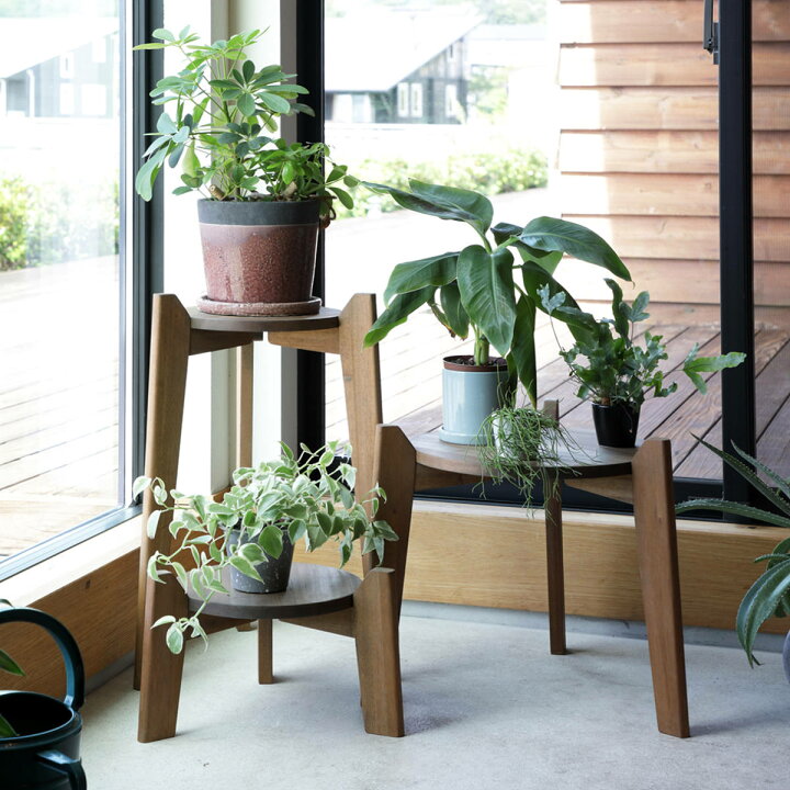 楽天市場】花台 Jardin Plants Table set 木製 （ プランタースタンド 