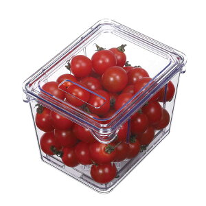 保存容器 すのこ付き 透明 野菜保存容器 Sサイズ ( 冷蔵庫収納 冷蔵庫 収納ケース トレー 深型 日本製 BPAフリー 蓋付き スタッキング 食品保存 水切り ストッカー 冷蔵室 野菜室 整理 すのこ