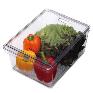 保存容器 すのこ付き 透明 野菜保存容器 Lサイズ ( 冷蔵庫収納 冷蔵庫 収納ケース トレー 深型 日本製 BPAフリー 蓋付き スタッキング 食品保存 水切り ストッカー 冷蔵室 野菜室 整理 すのこ