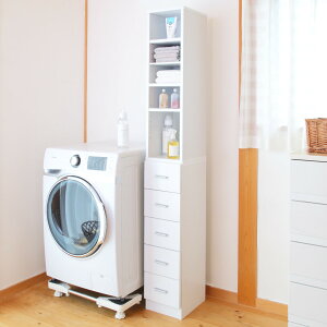 XbN 25cm [bN I Ԏ[ XgbJ[ o5i i bN {I `FXg Lb`[ h[ A4Ή ^I[ ㉺ Zp[g  uE zCg 