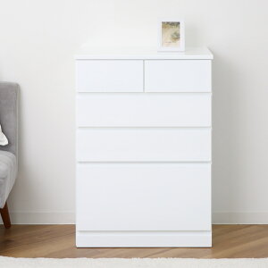 nC`FXg 60cm o5t ʎdグ i i `FXg [ o  N[[bg 4i 5t tI[v ȒP ߗގ[ fBXvC zCg jy39Vbvz