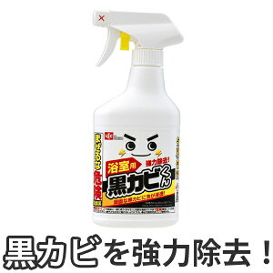 激落ちくん 黒カビくんカビとり泡スプレー ( 風呂掃除 風呂用洗剤 カビ取り バスクリーナー 浴室 バス 風呂清掃 バス清掃 お風呂掃除 お風呂清掃 お風呂用洗剤 かび取り剤 )【39ショップ