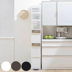 S~ [{bNXt 55L 25.5cm 6i  XCOXgbJ[ Ch i 55bg c^ _Xg{bNX ݔ Lb` ӂt X y_ o XCOӂ  [ 