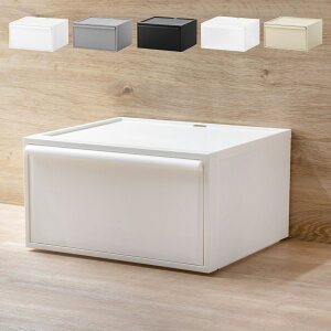 yr[Ttz [P[X F4Zbg N[[bgVXe Ch o M 45×s39.5×24.7cm i [ N[[bg ߗގ[ ߑP[X ςݏd vX`bN { 