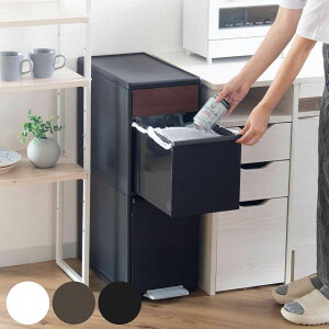 分別ゴミ箱 35L 幅25.5cm 2段 分別 スイングステーションワイド 木目調パネル ( 35リットル 縦型 ダストボックス ごみ箱 キッチン スリム ペダル式 ふた付き シンプル 引き出し スイングふた ペ