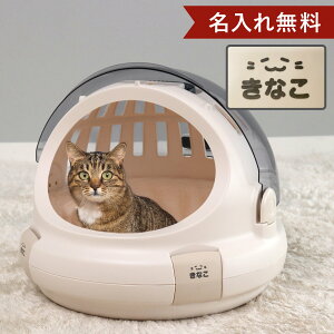 ������ �y�b�g�L�����[ �R���� ���ł����l�R�x�b�h M �L �i �����ꖳ�� �x�b�h�L�����[ �L�����[ �y�b�g�x�b�h �n�[�h �L�p �y�b�g�p �l�[������ ���o���� ���s �h���C�u �h�� �ЊQ �y�b�g�p