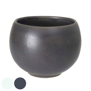 ۂ 180ml SALIU 낱  i Rbv  { dqWΉ H@Ή  킢 Jbv t[Jbv }`Jbv ۂ   AR[ jy39Vbvz