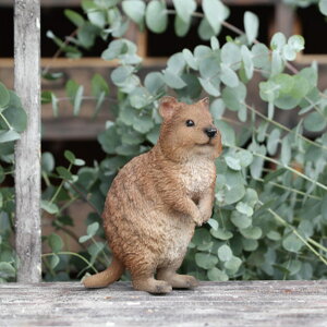 NAbJ  A IuWF u CeA i G  Aj} CeAG  RCoN ybgoN PETBANK 킢 v[g Mtg j j y39Vbv