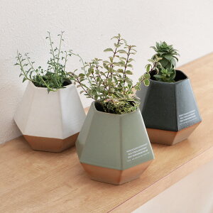 Aؔ GOYA Z~bN i v^[ vg|bg t[|bg Ap|bg  Ԋ Jo[ |bg Zp AؔJo[  A  ϗtA A  | CeA 