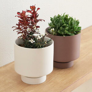 Aؔ Manon Z~bN i v^[ vg|bg Ap|bg  Ԋ Jo[ |bg  M AؔJo[  A  ϗtA A  | CeA  }bg