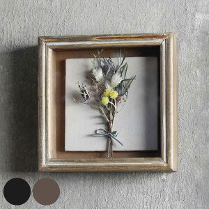 t[t[ SPECIMEN FRAME 20×20cm ؐ t[̂ i hCt[ t[ z  LoXn Dt AeB[N u^ Ǌ| ؐt[ t[x[X CeA 