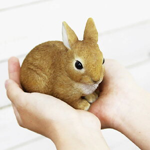 IuWF ETM ybgoN  i u  G Aj} A   fBXvC tBMA }XRbg  AAj} rO  I[ig CeA v